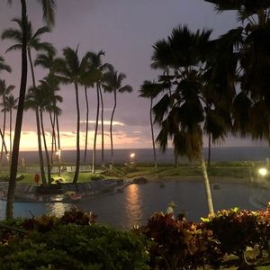 Meet your Posher, Celeste